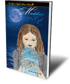 Meddia's Gift Book Cover