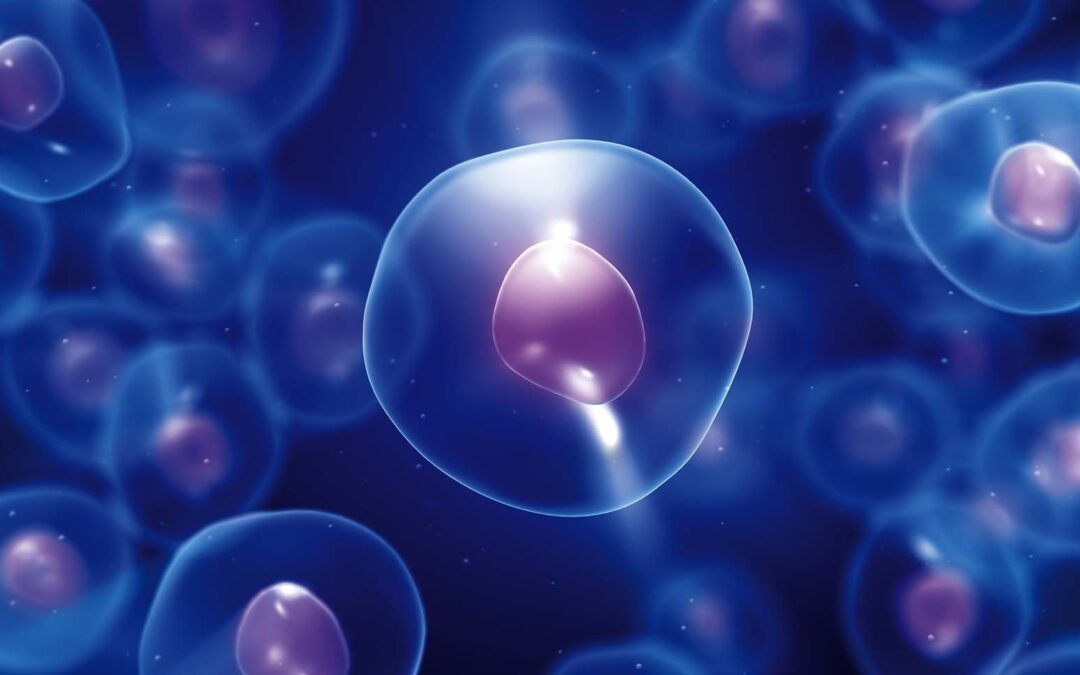 Stem Cell Centers of Colorado