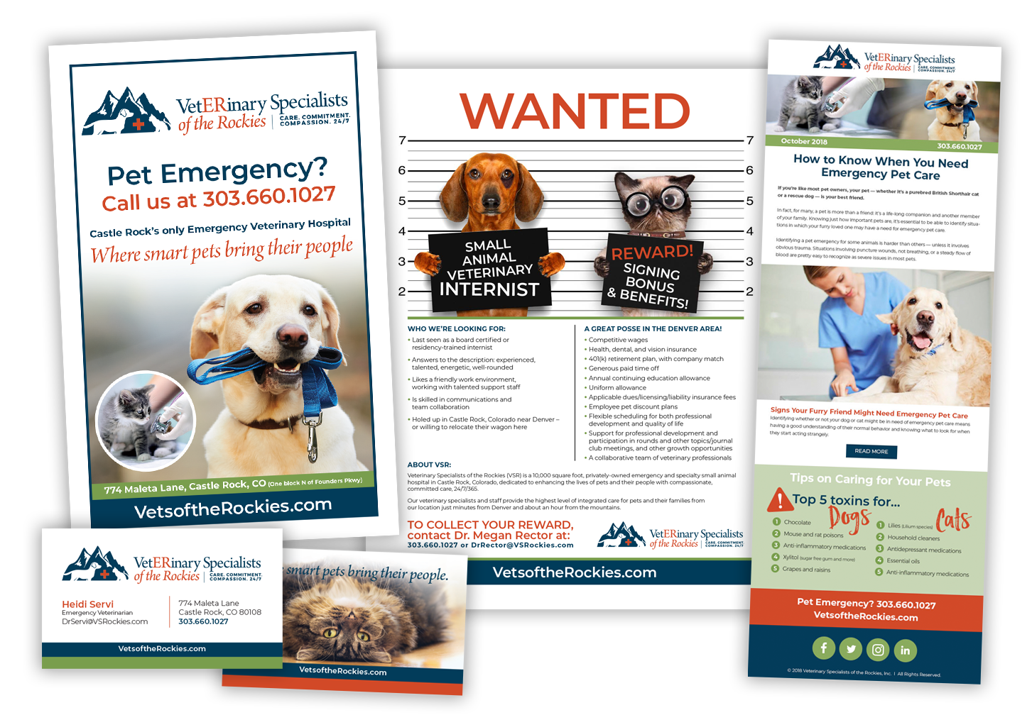Stem Cell Centers – Tri-fold Brochure