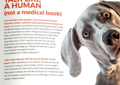 Veterinary Specialists of the Rockies