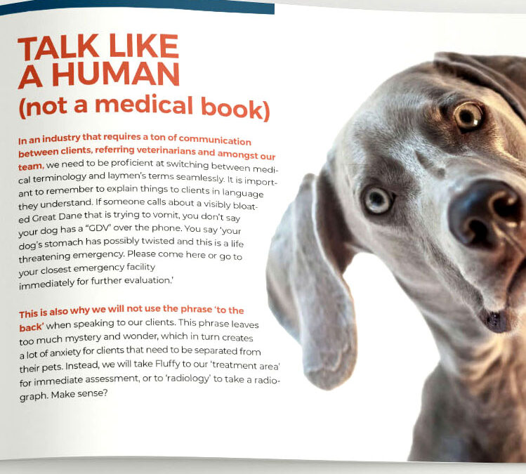 Veterinary Specialists of the Rockies